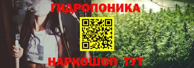меф Краснознаменск