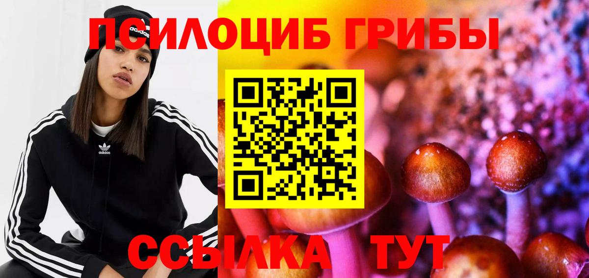 Псилоцибиновые грибы Magic Shrooms Кулебаки