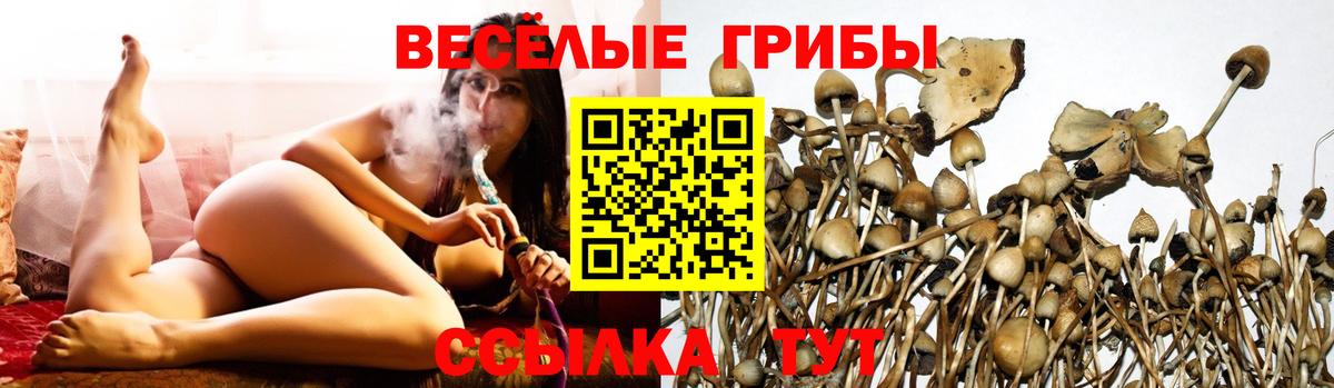 Кулебаки  Галлюциногенные грибы GOLDEN TEACHER  цена   Вход с VPN 